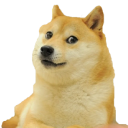 doge sha384-QWTKZyjpPEjISv5WaRU9OFeRpok6YctnYmDr5pNlyT2bRjXh0JMhjY6hW