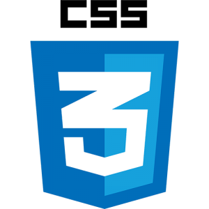 css3