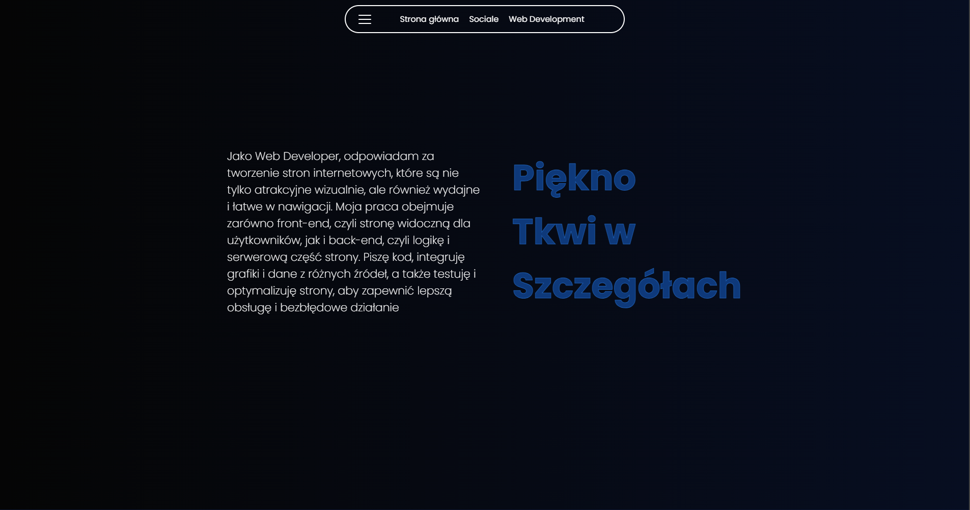 my portfolio project